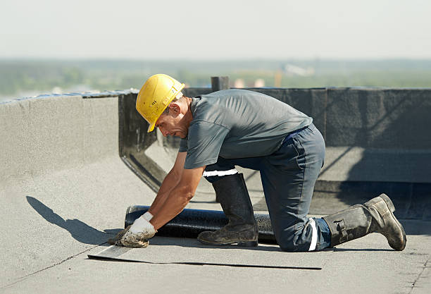 Best Eco-Friendly Insulation in Ashland, NJ